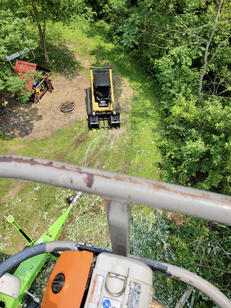 Affordable Tree Removal Near Montgomery Alabama Affordable Tree Removal Near Montgomery Alabama