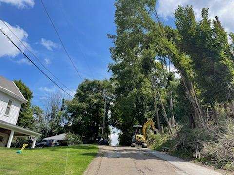 Storm Cleanup & Storm Damage Cleanup in Luverne Alabama