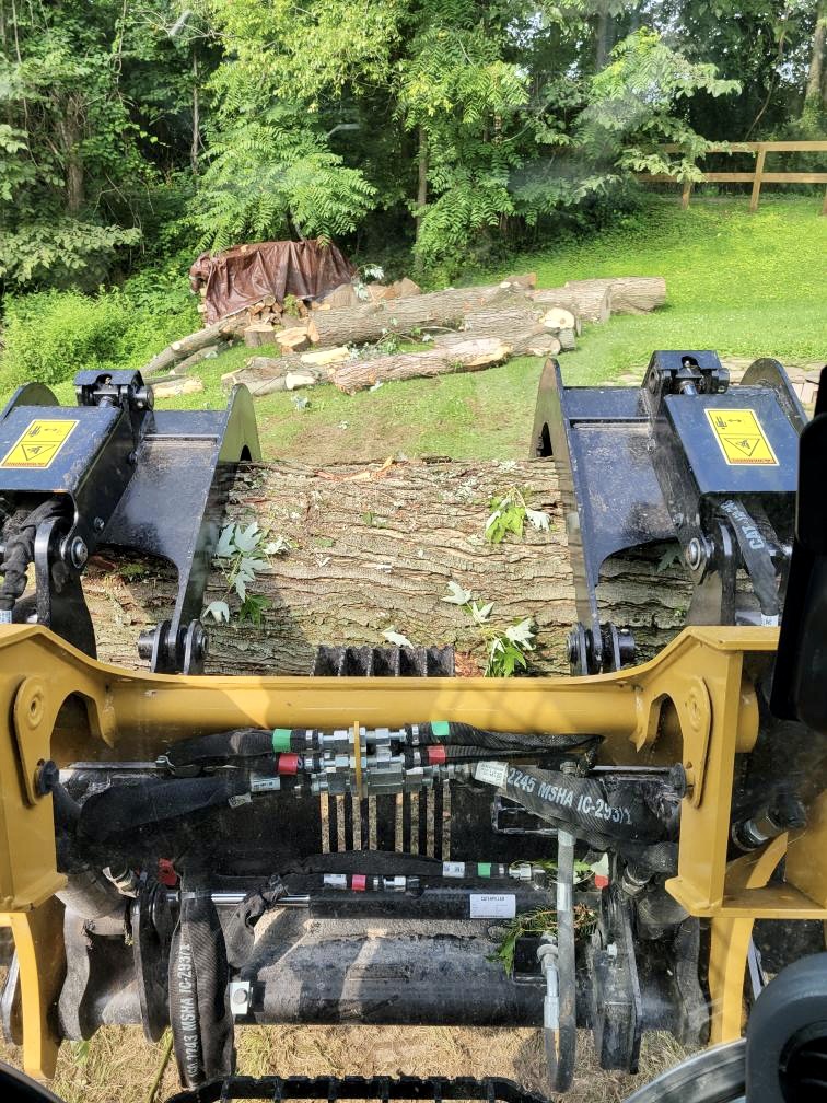 Stump Grinding Luverne Alabama